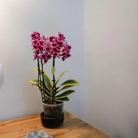 Дом отдыха Ermioni's In